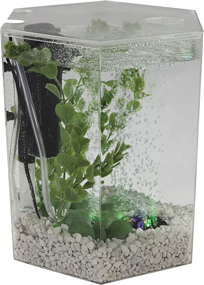 Tetra Bubbling LED Aquarium Kit 1 Gallon, Hexagon Shape, With Color-Changing Light Disc