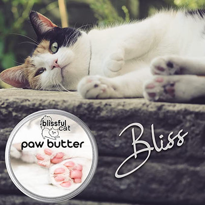 The Blissful Cat Paw Butter, 2-Ounce