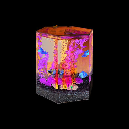 Tetra Bubbling LED Aquarium Kit 1 Gallon, Hexagon Shape, With Color-Changing Light Disc