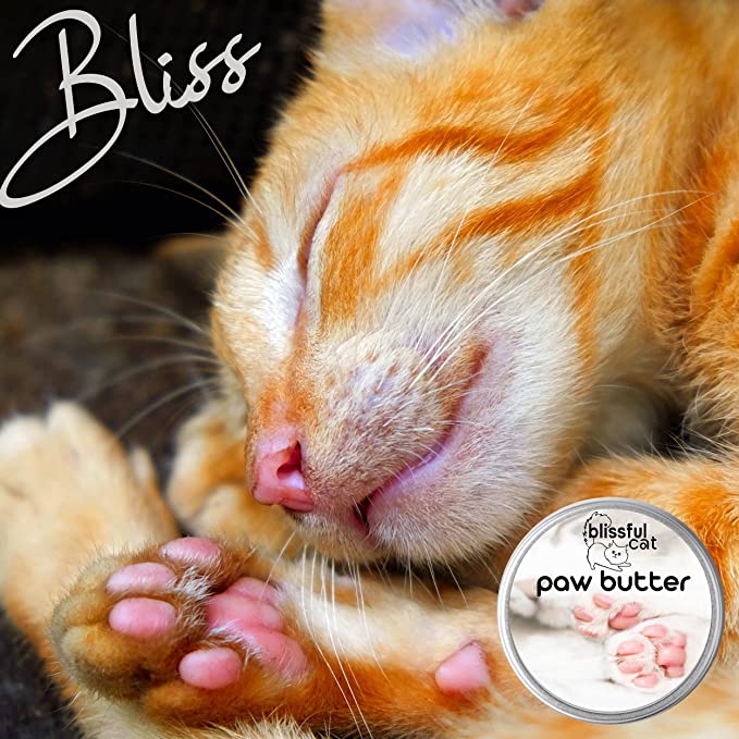 The Blissful Cat Paw Butter, 2-Ounce